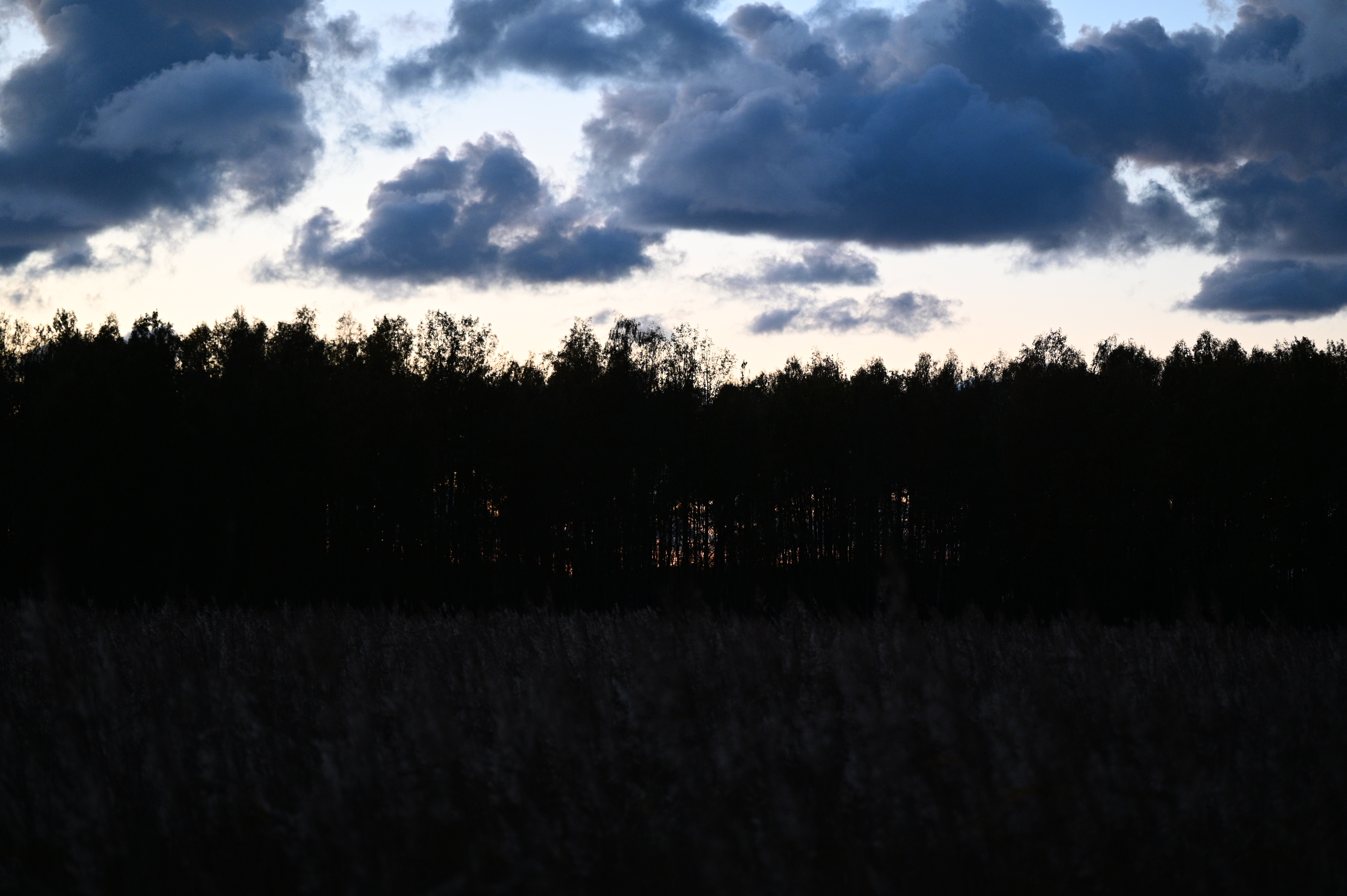 2025/10/18 - walk/DSC_0647.JPG